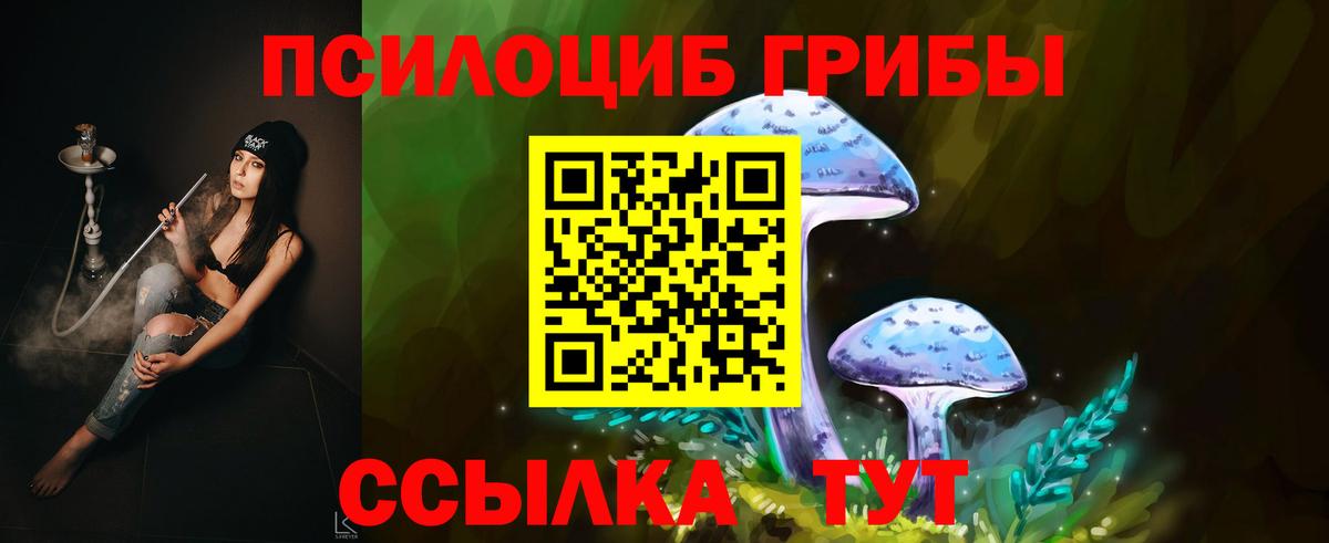 Галлюциногенные грибы мицелий Кузнецк